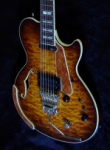 Chris' Variax